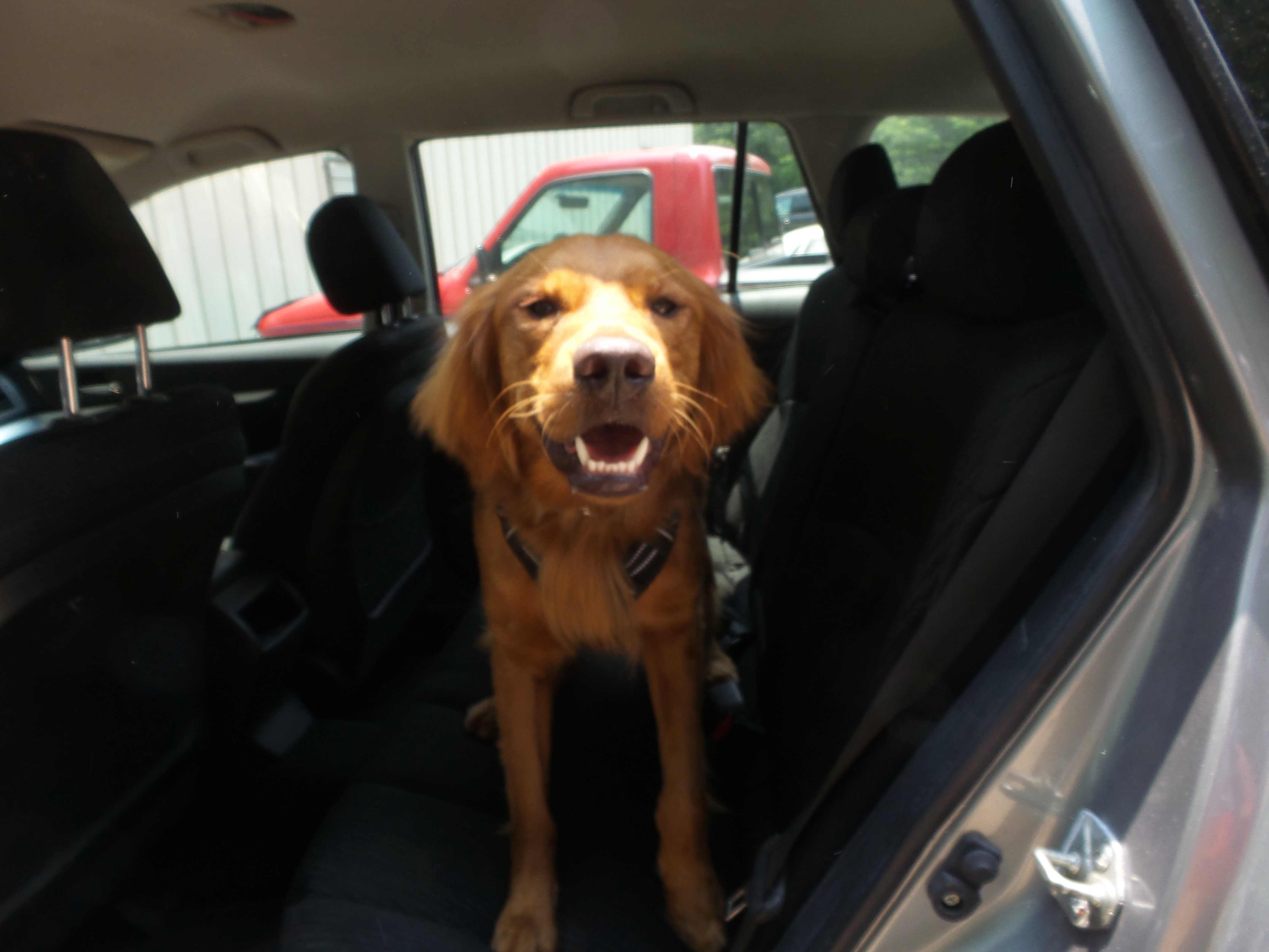Used 2010 Subaru Outback 2.5i image 52