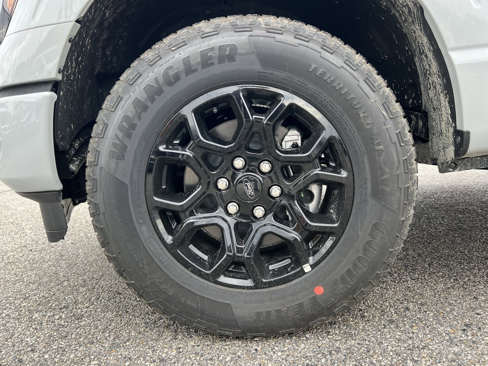 New 2026 Ford F150 XLT w/ Equipment Group 302A MID image 12