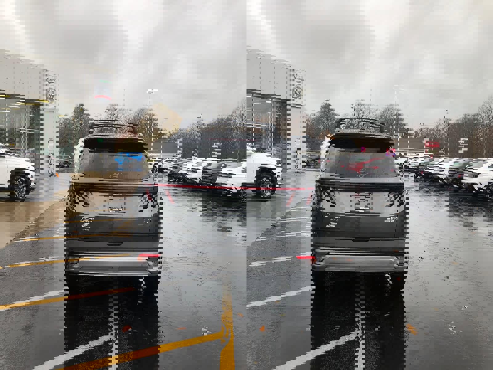 New 2026 Hyundai Tucson Limited image 6