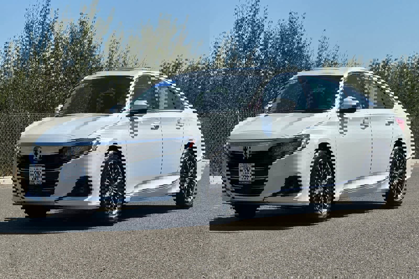 Certified 2021 Honda Accord EX-L image 8