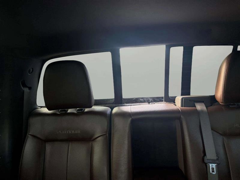 Used 2010 Ford F150 Platinum image 32