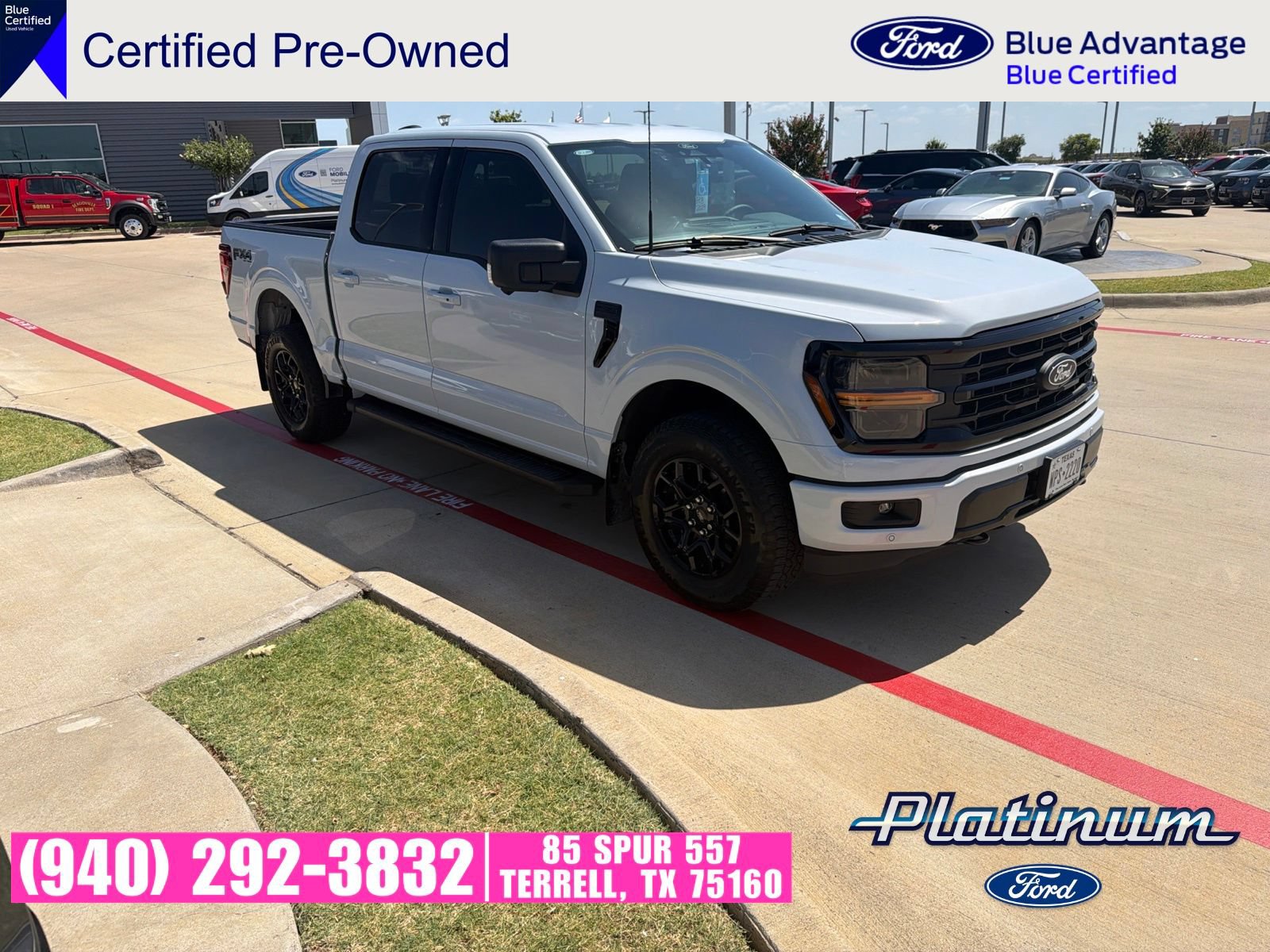 Used 2025 Ford F150 XLT w/ Equipment Group 302A MID AWD/4WD image 1