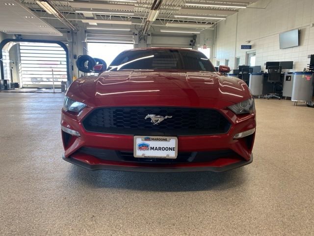 Used 2021 Ford Mustang Premium w/ Equipment Group 201A image 2