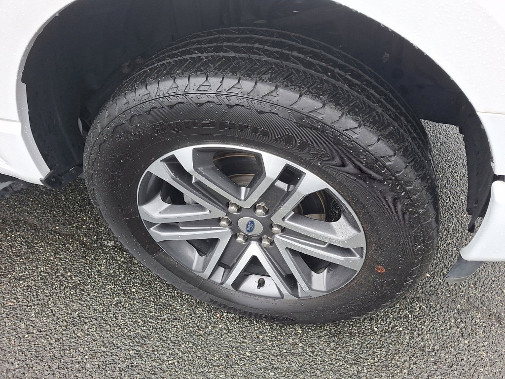 Used 2023 Ford F150 XL w/ STX Appearance Package image 9