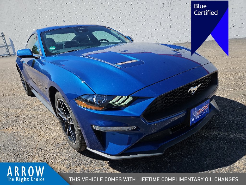 Certified 2023 Ford Mustang Coupe w/ Equipment Group 101A RWD image 2