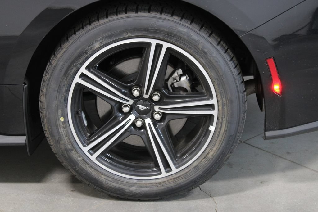 Used 2024 Ford Mustang Premium RWD image 16
