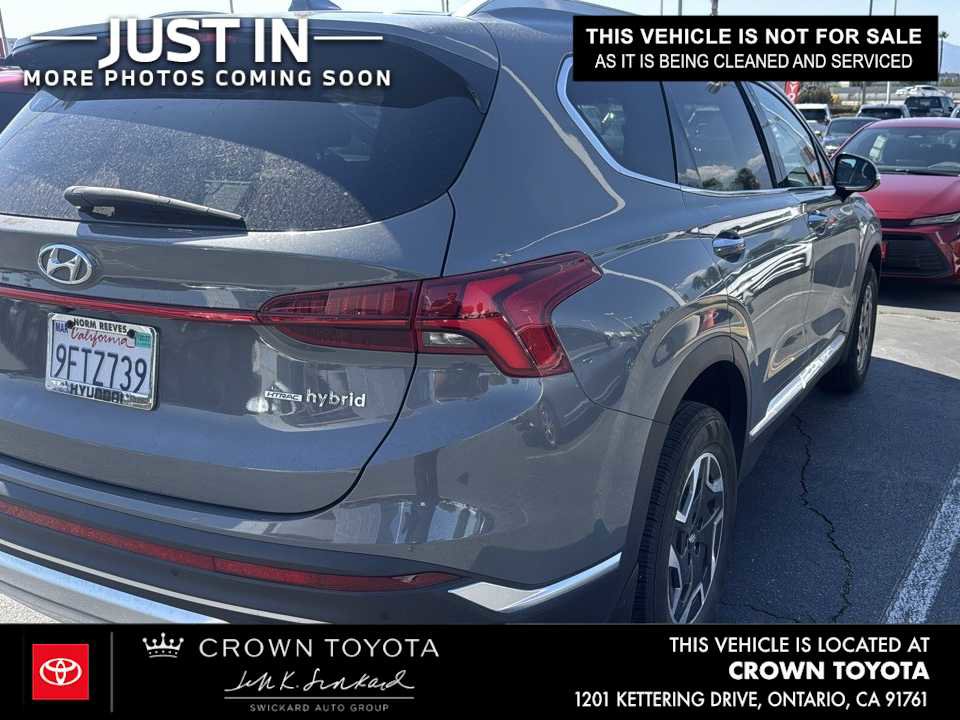 Used 2023 Hyundai Santa Fe Blue AWD/4WD image 2