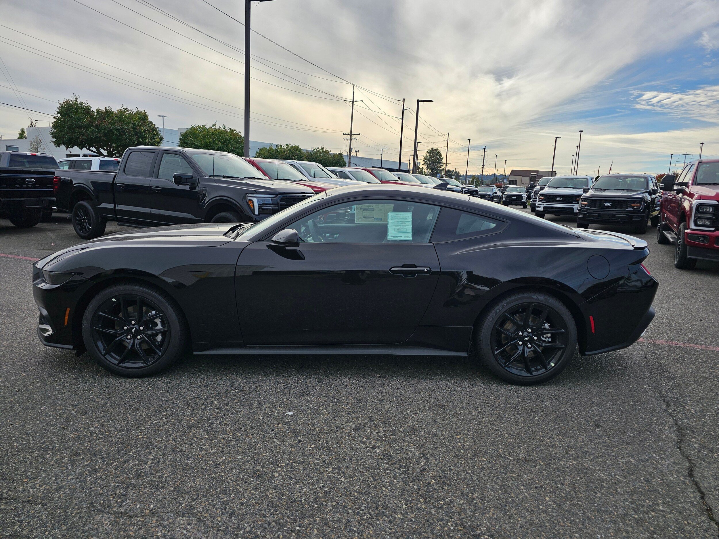 New 2026 Ford Mustang Premium w/ Mustang Nite Pony Package RWD image 8