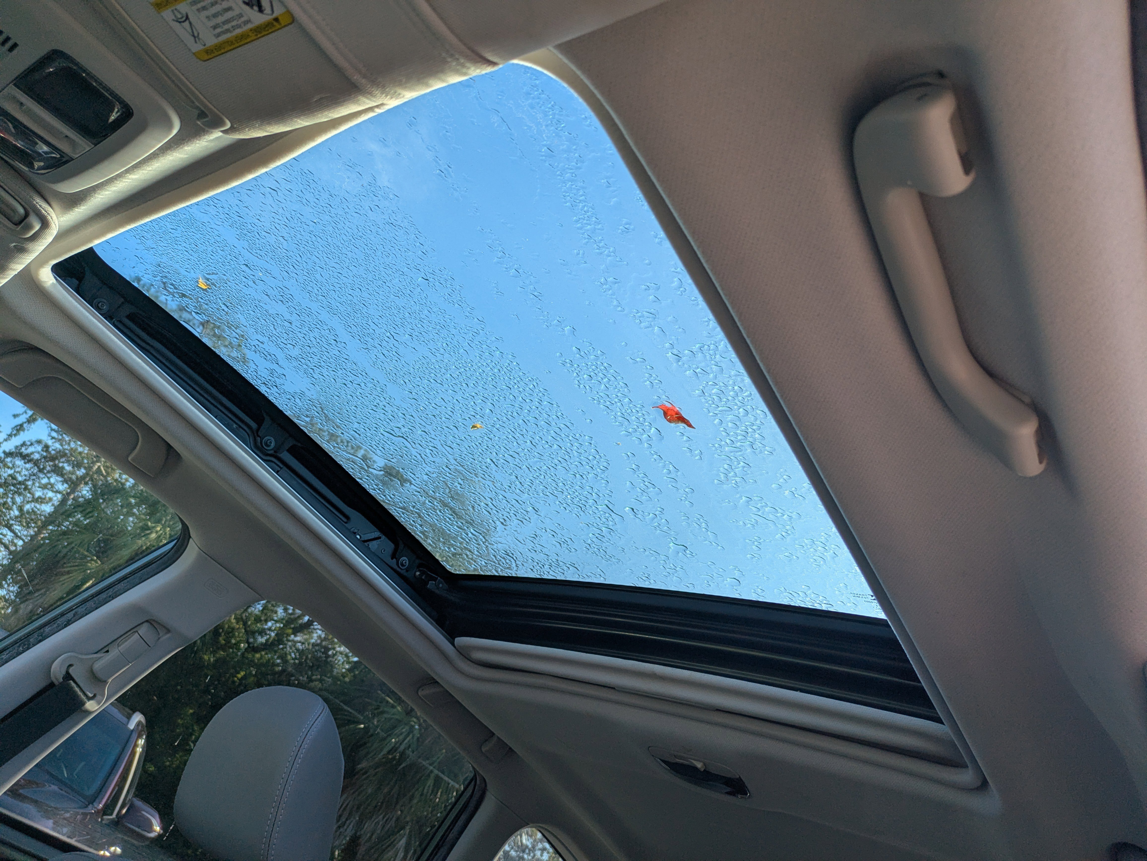 Used 2015 Subaru Forester 2.5i Limited image 22