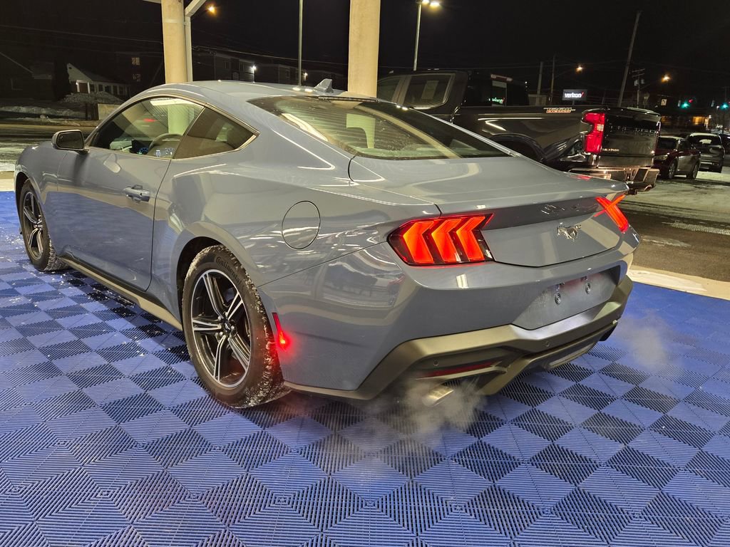 Used 2025 Ford Mustang EcoBoost image 4