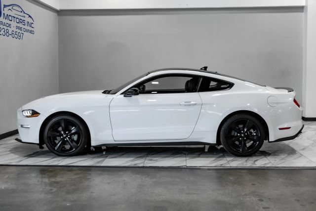 Used 2023 Ford Mustang Premium w/ Mustang Nite Pony Package RWD image 13