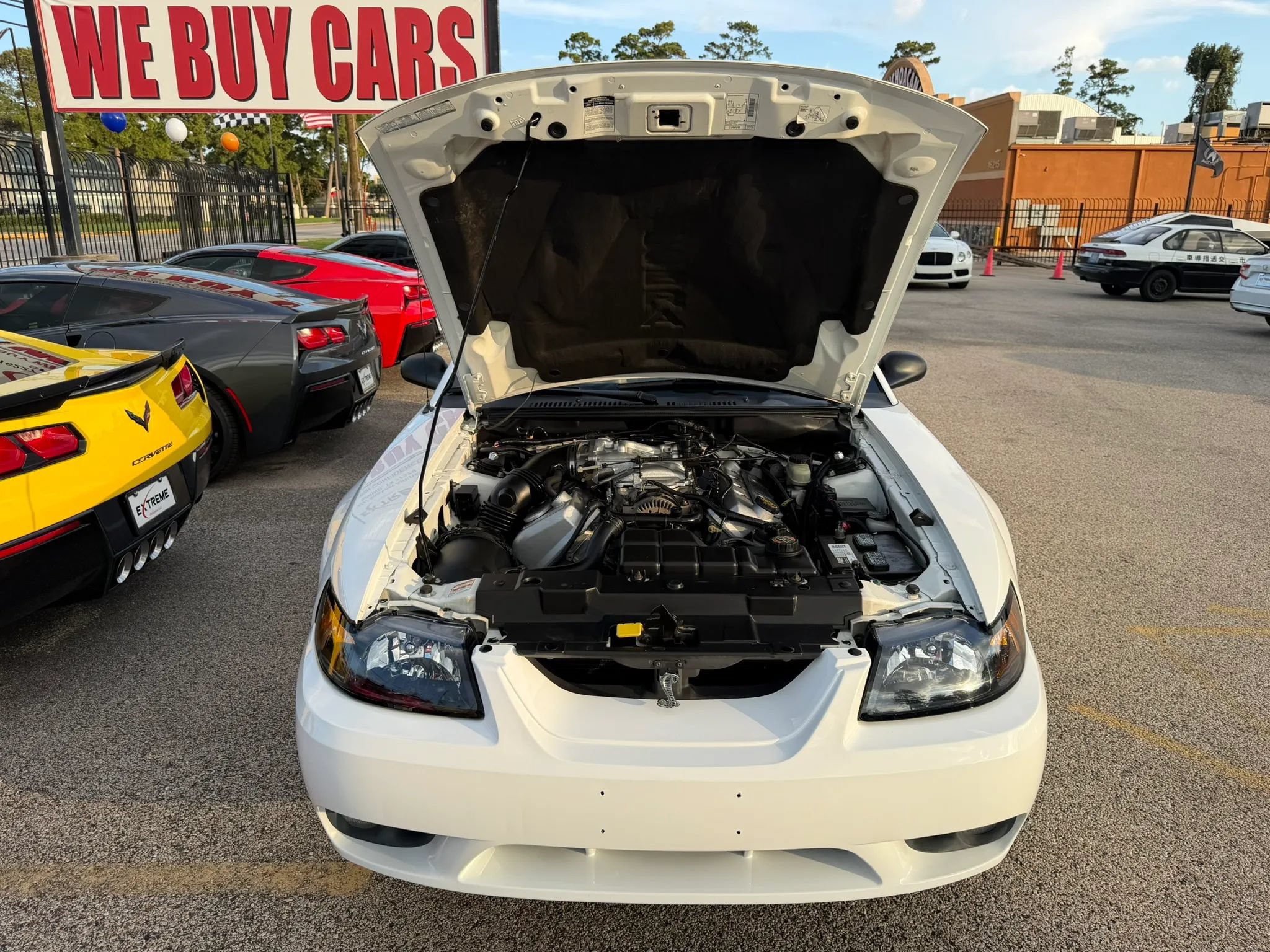 Used 1999 Ford Mustang Cobra RWD image 39