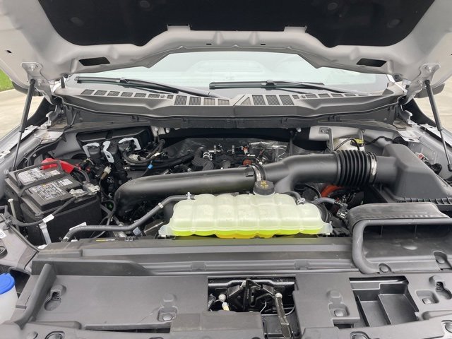 New 2025 Ford F150 XLT w/ Equipment Group 302A MID image 29