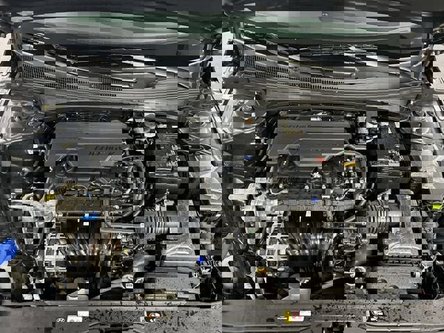 Used 2025 Hyundai Elantra Limited image 30