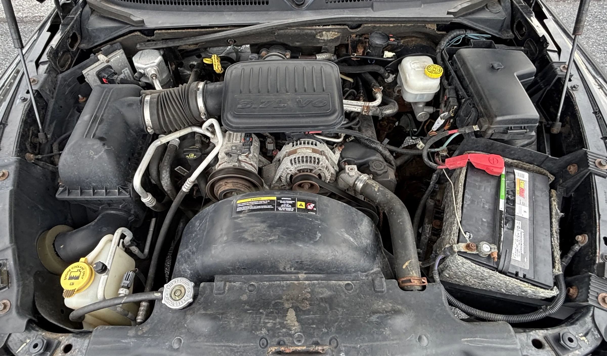 Used 2008 Dodge Dakota SLT image 23