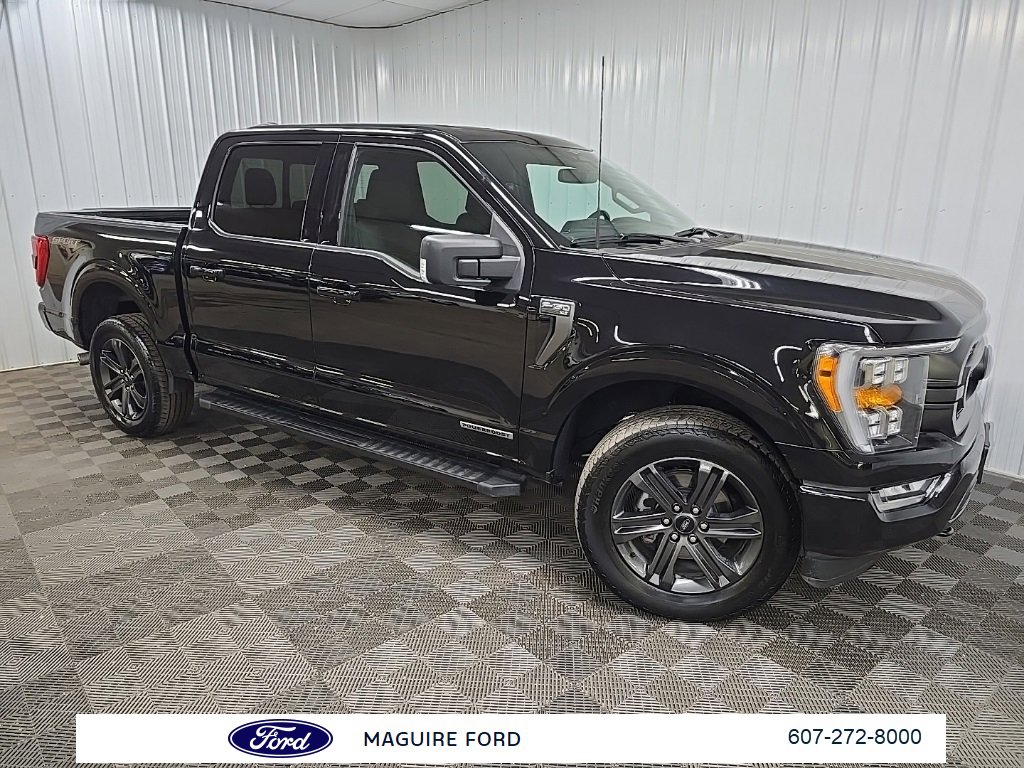 Used 2023 Ford F150 XLT w/ Equipment Group 302A High