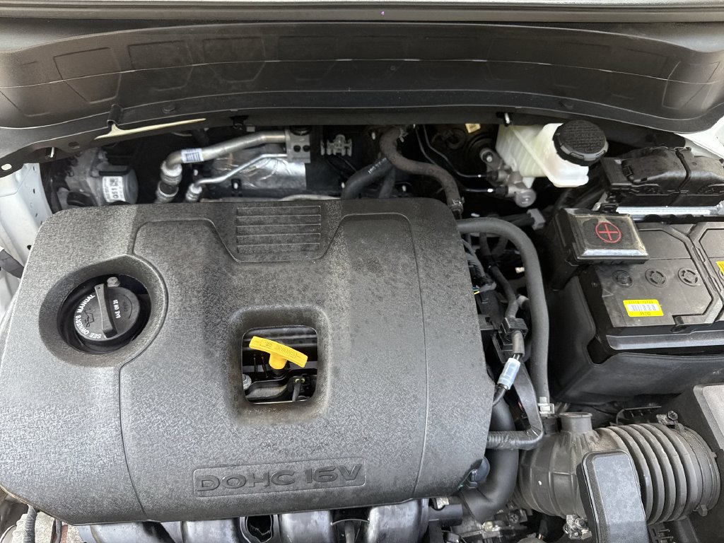Used 2024 Kia Seltos EX AWD/4WD image 18