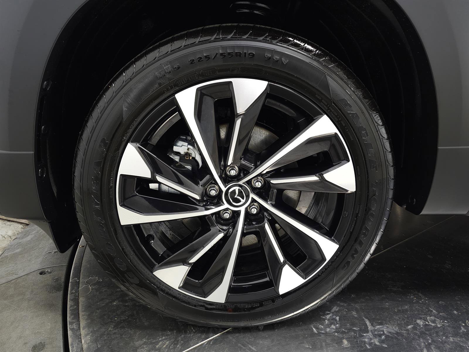 Used 2025 MAZDA CX-50 2.5 Hybrid w/ Premium Plus Pkg AWD/4WD image 12