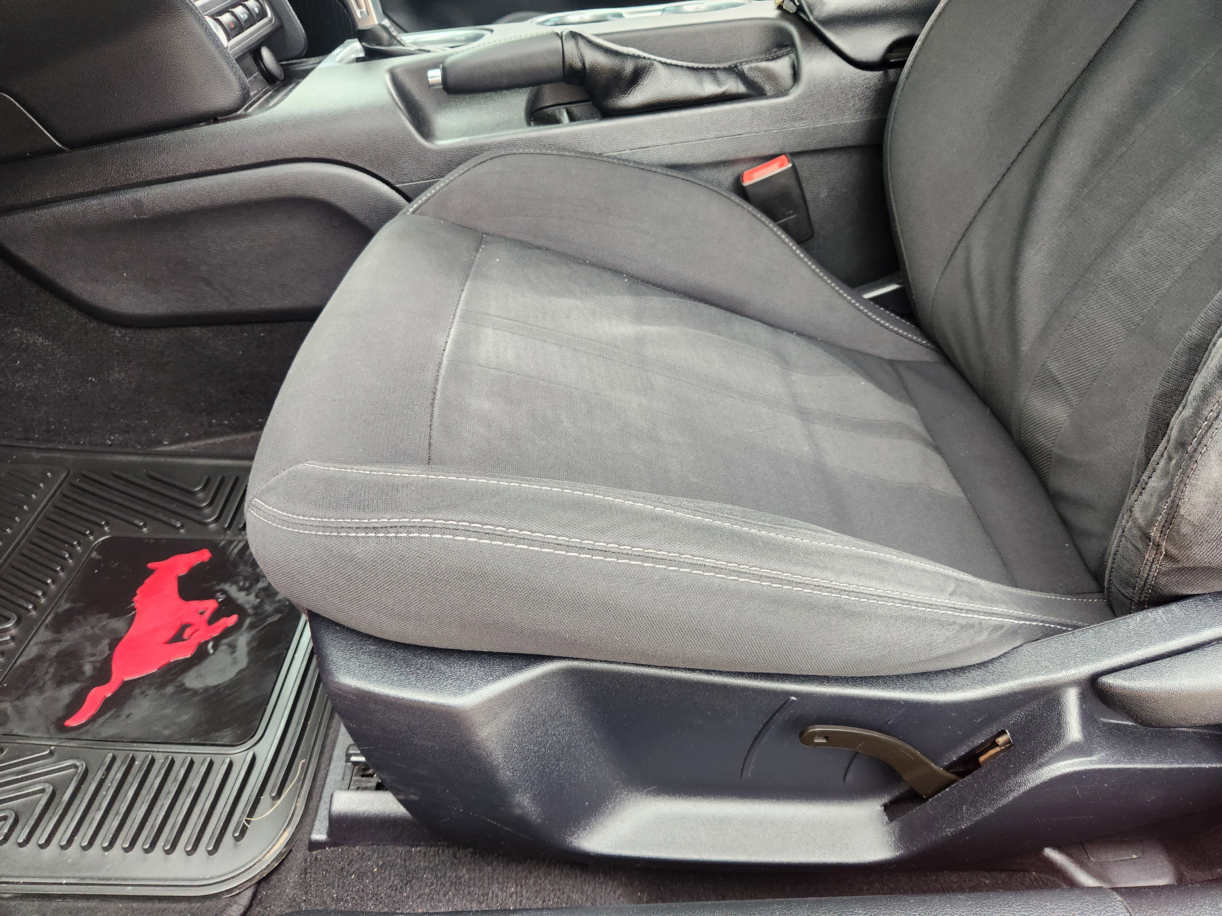 Used 2019 Ford Mustang Coupe RWD image 25