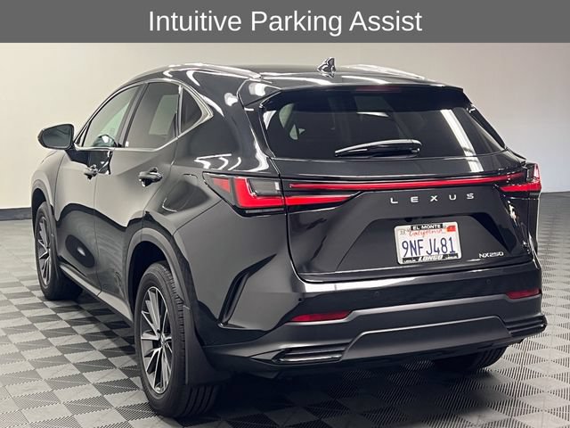 Certified 2025 Lexus NX 250 FWD image 7