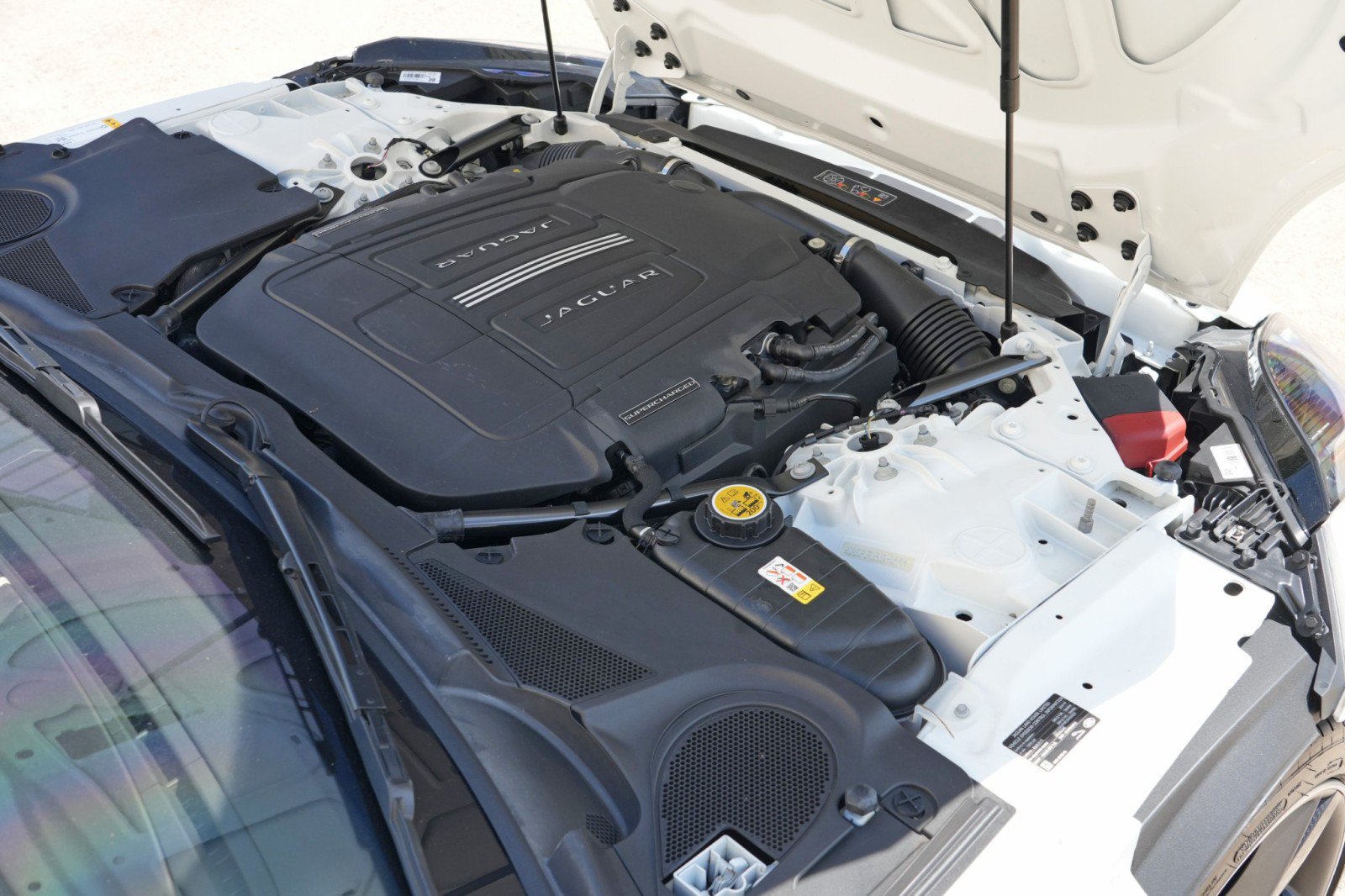 Used 2019 Jaguar F-TYPE R-Dynamic RWD image 9