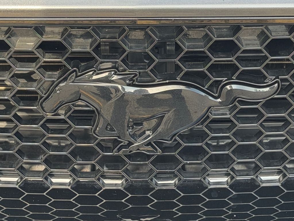 Used 2021 Ford Mustang GT w/ Equipment Group 301A RWD image 34
