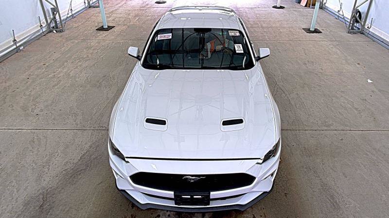 Used 2018 Ford Mustang Premium w/ Ecoboost Performance Package RWD image 2