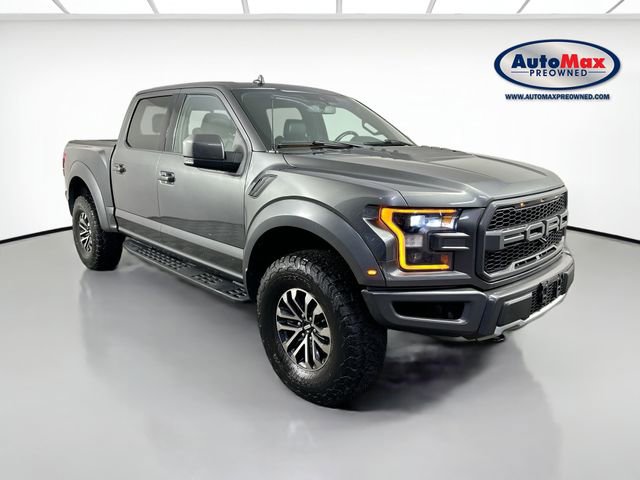 Used 2019 Ford F150 Raptor w/ Equipment Group 802A Luxury image 1