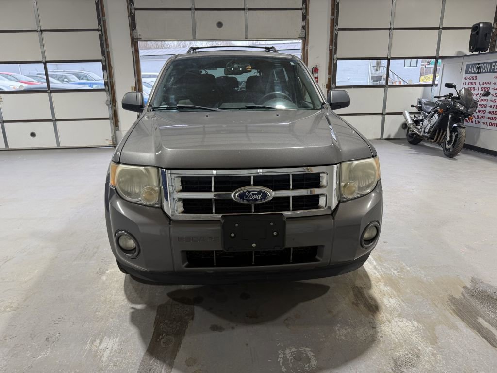 Used 2011 Ford Escape XLT w/ 202A Rapid Spec Order Code image 4