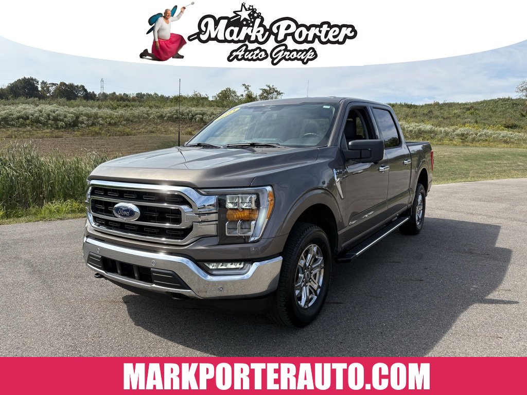 Used 2023 Ford F150 XLT w/ Equipment Group 302A High image 1