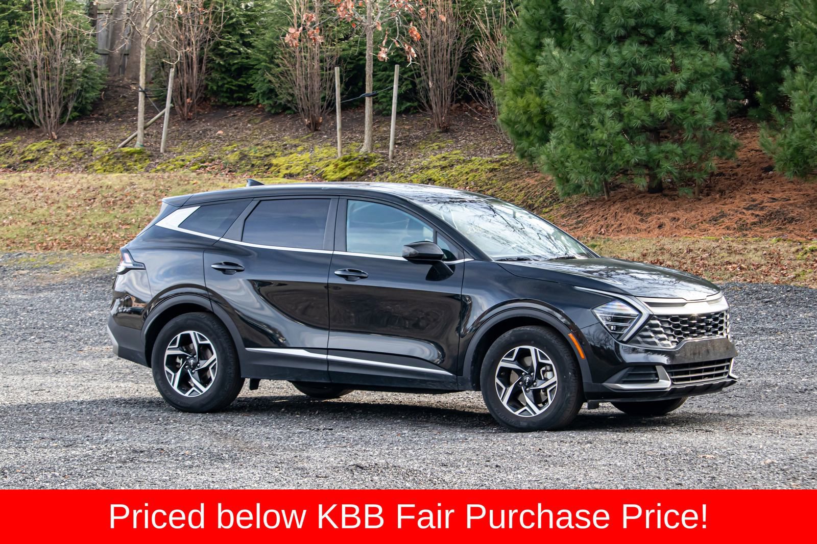 Used 2024 Kia Sportage LX image 11