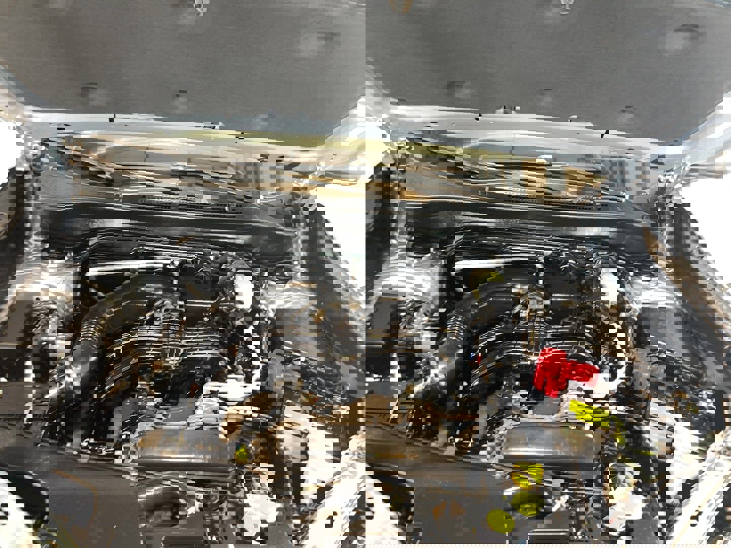 Used 2025 Subaru Forester Premium image 24