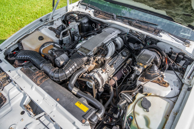 Used 1989 Pontiac Firebird Trans Am RWD image 19