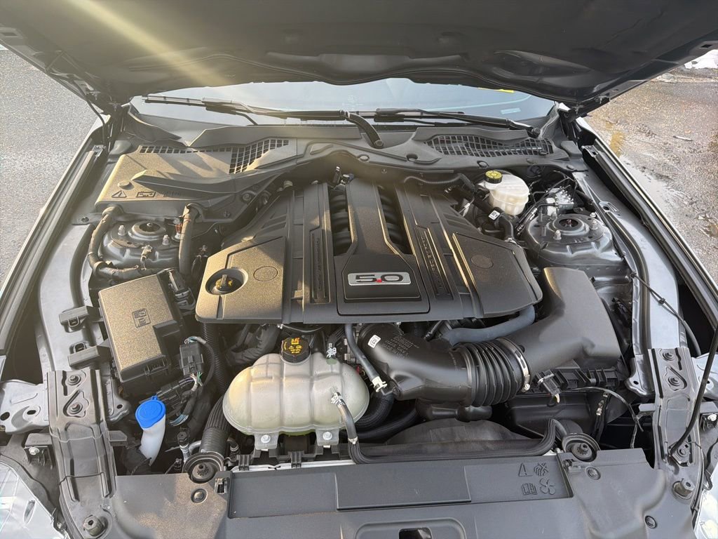 Used 2021 Ford Mustang GT Premium w/ Black Accent Package image 9