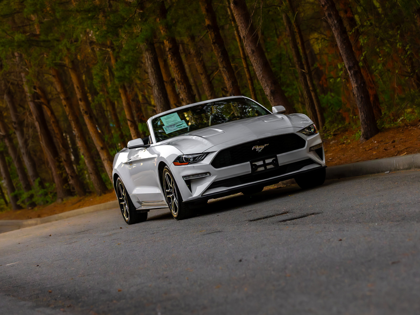 Used 2022 Ford Mustang Premium image 45