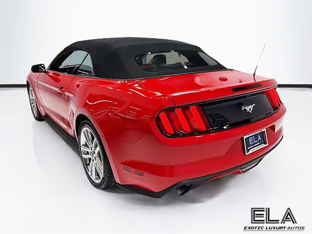 Used 2017 Ford Mustang Premium w/ Equipment Group 201A RWD image 6