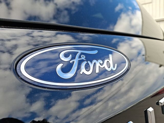 Used 2025 Ford Expedition Active image 32