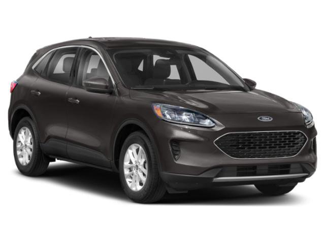 Used 2022 Ford Escape SE FWD image 6