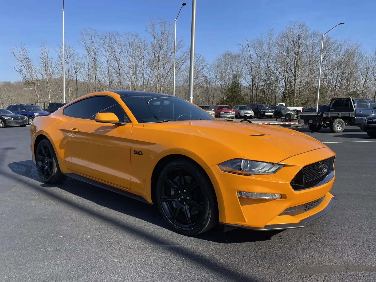 Used 2019 Ford Mustang GT w/ Equipment Group 301A image 5