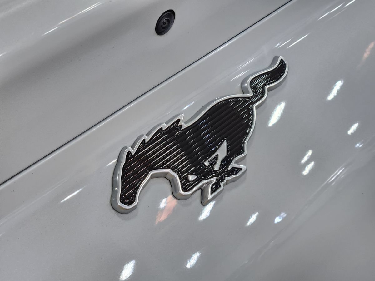 Used 2021 Ford Mustang Mach-E Premium RWD image 25