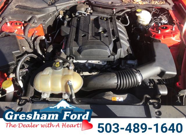 Used 2017 Ford Mustang Coupe RWD image 22