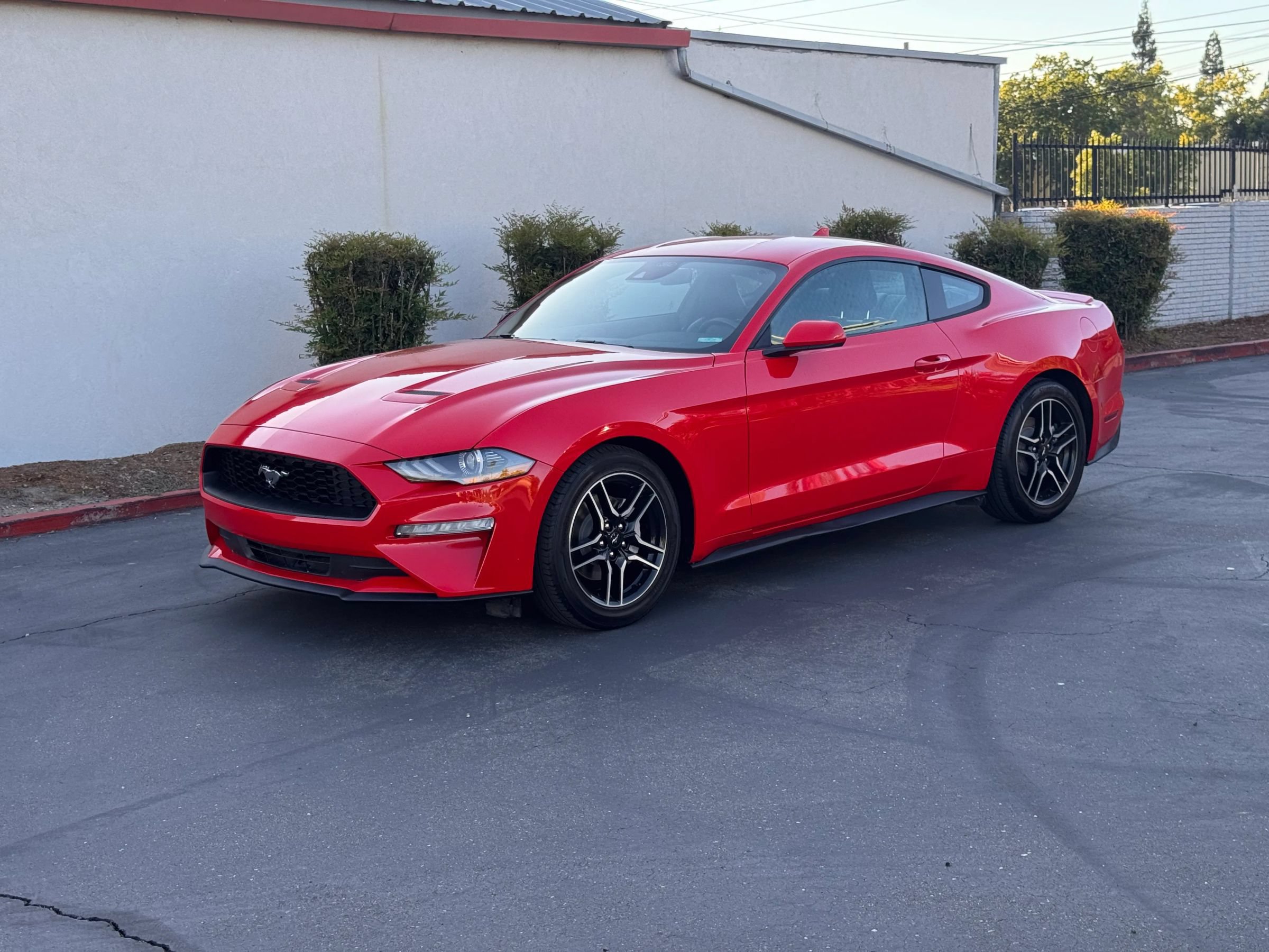 Used 2023 Ford Mustang Premium RWD image 2