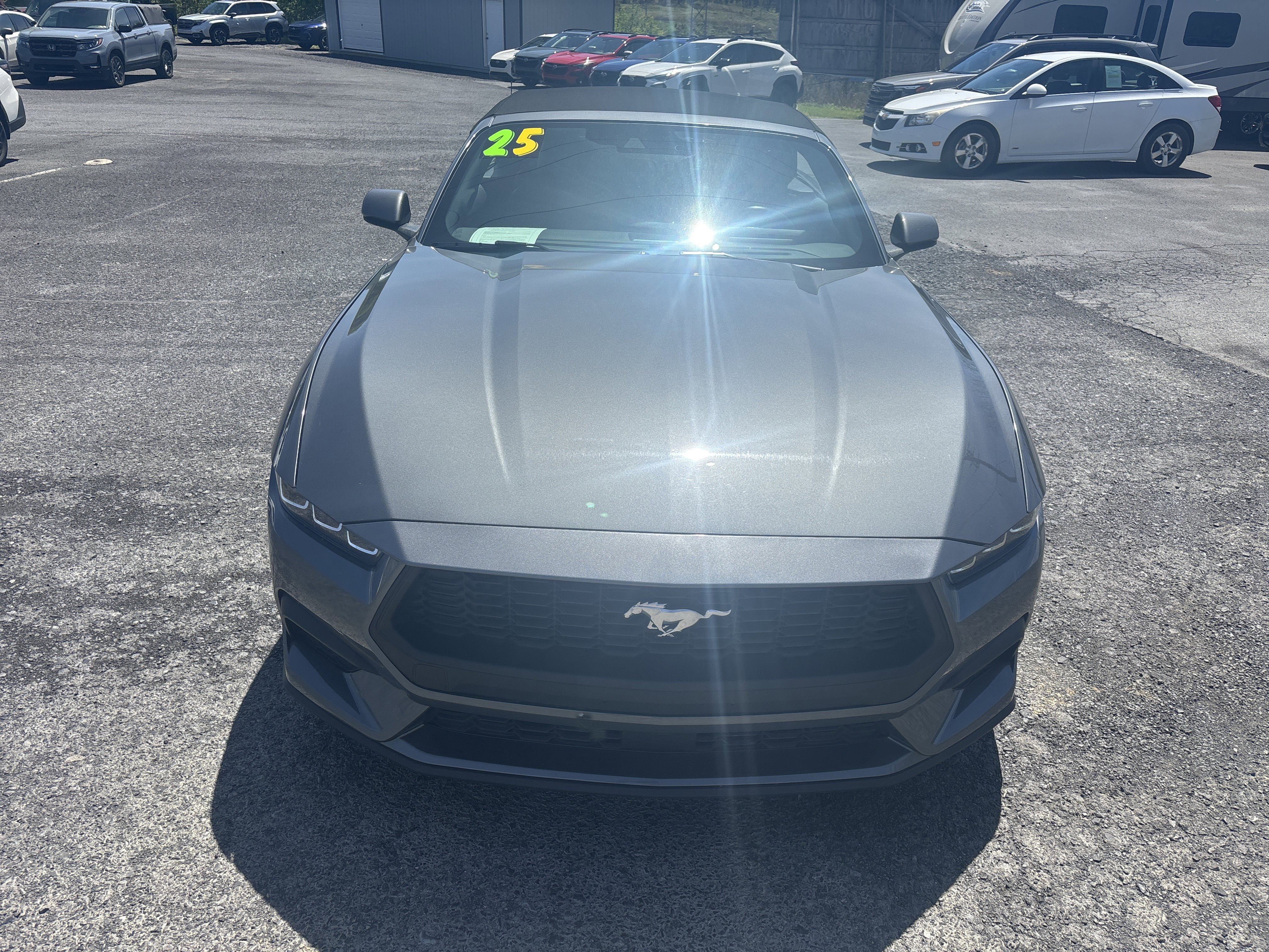 Used 2025 Ford Mustang Premium RWD image 11