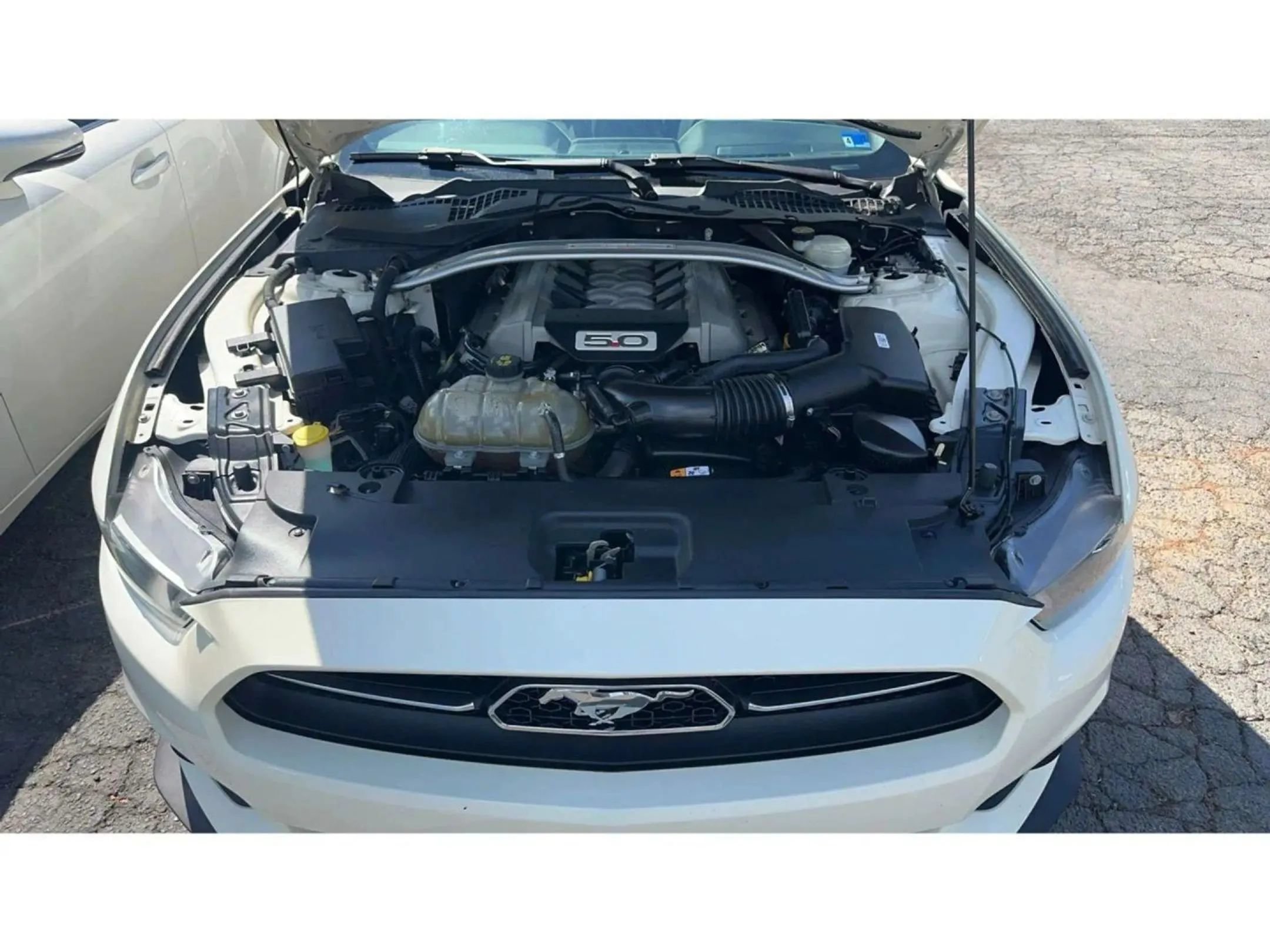 Used 2015 Ford Mustang 50 Years RWD image 14