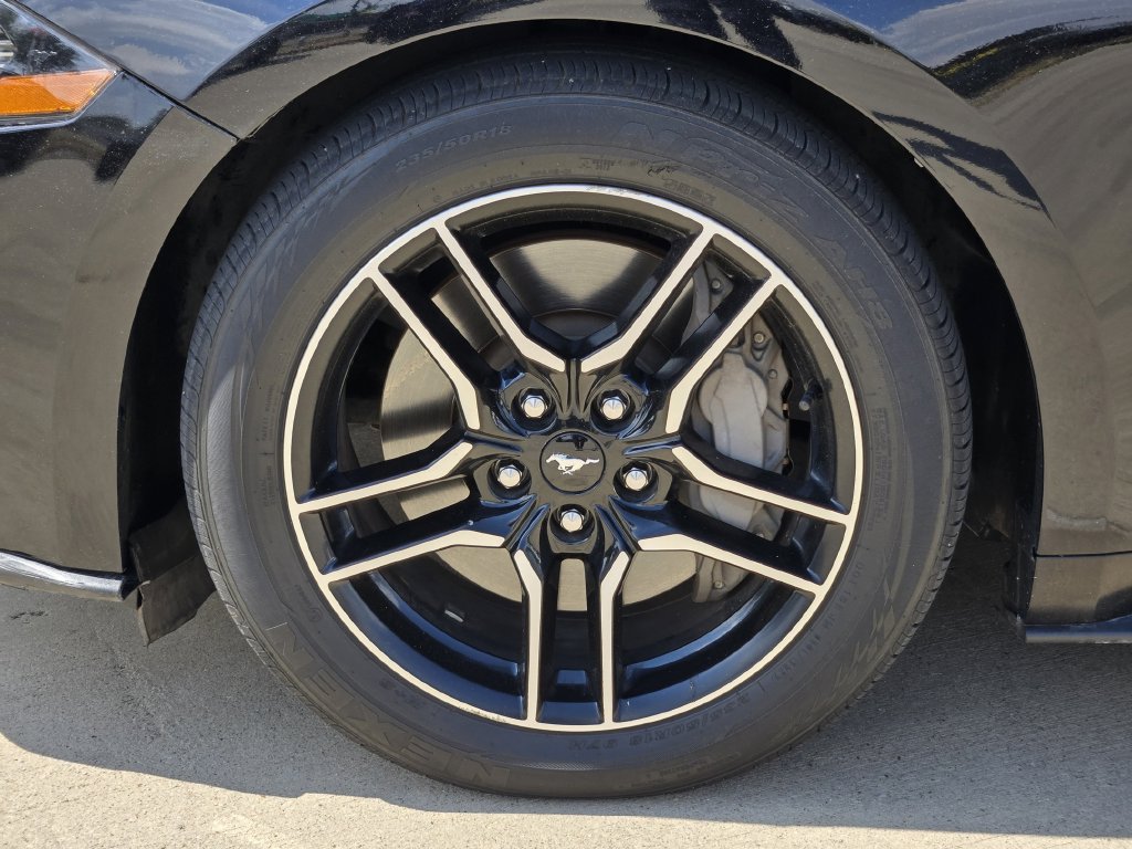 Used 2018 Ford Mustang GT Premium w/ Equipment Group 401A RWD image 8
