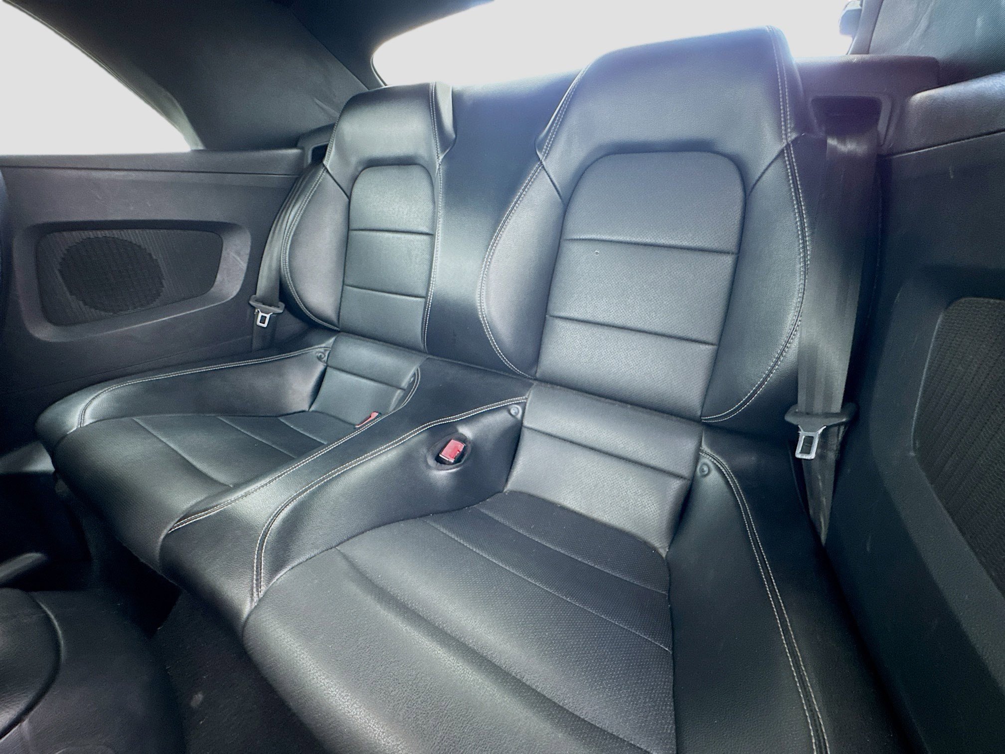 Used 2019 Ford Mustang Premium image 15