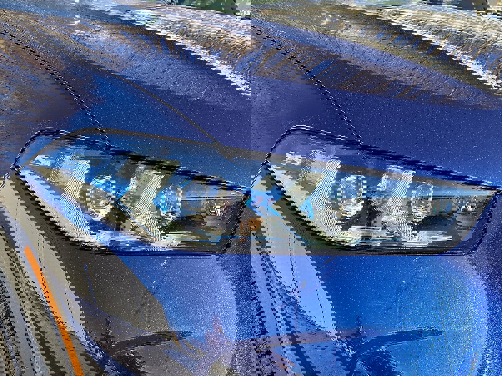 Used 2026 BMW X5 xDrive40i w/ Premium Package image 8