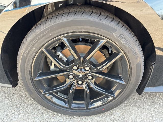 New 2026 Ford Mustang Coupe image 11