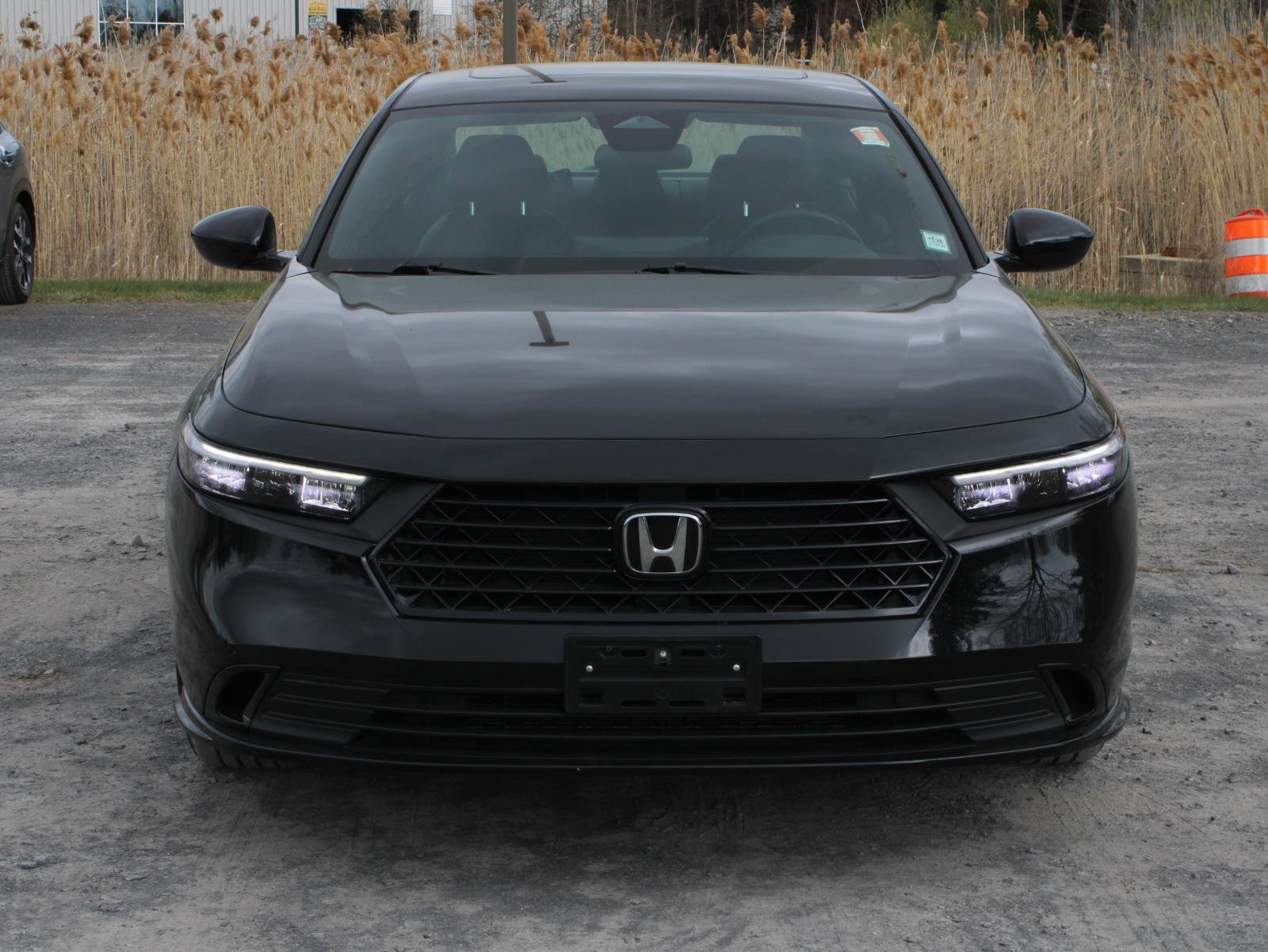 Used 2024 Honda Accord Sport image 2