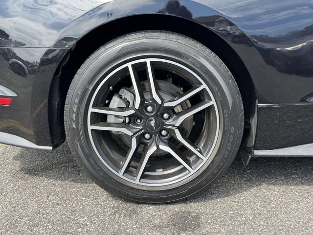 Used 2021 Ford Mustang Premium w/ Equipment Group 201A RWD image 12